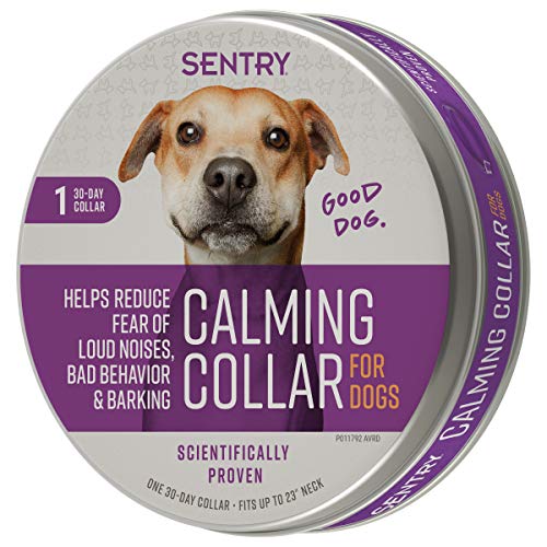 SENTRY PET Care Sentry Beruhigendes Halsband für Hunde, angstreduzierendes Pheromon-Halsband, setzt Pheromone für 30 Tage frei, hilft bei Lauten Geräuschen und Trennung, 1 Stück, Lila von Sentry