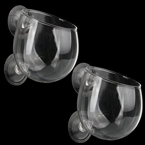 SENZEAL 2X Glas Cup Topf mit 4 x Saugnäpfe für Aquarium Aquarium Aquascaping von SENZEAL