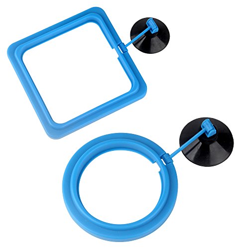 SENZEAL 2X Fisch Fütterung Ring mit Saugnapf Feeding Station Quadrat und Runde Kunststoff Blau (Normale Version) von SENZEAL