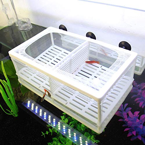 SENZEAL Aquarium Netz Ablaichbehälter Fisch Isolation Zuchttank Brutkasten Inkubator Mesh Fisch Tank Isolation Box für Aquarium Baby Fisch mit 3er Pipette von SENZEAL