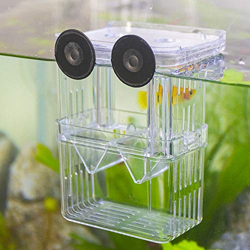 SENZEAL Kunststoff Fisch Isolation Box multifunktionale Zuchttanks Brutkasten Inkubator Box mit 3 Stücke Pasteur Pipette (105x75x135mm) von SENZEAL