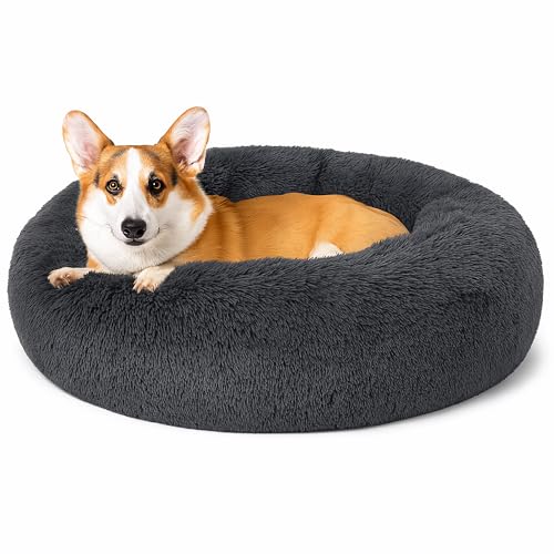 Beruhigendes Donut-Katzenbett, flauschiges, rundes Plüsch-Hundebett, gemütlich, weich, waschbar, Kissen, selbstwärmendes Haustierbett, rutschfeste Unterseite, Anti-Angst, schlafendes Kuschelnest für Beruhigendes Donut-Katzenbett, flauschiges, rundes Plüsch-Hundebett, gemütlich, weich, waschbar, Kissen, selbstwärmendes Haustierbett, rutschfeste Unterseite, Anti-Angst, schlafendes Kuschelnest für von SEOUGEE