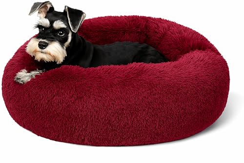 Beruhigendes Donut-Katzenbett, flauschiges, rundes Plüsch-Hundebett, gemütlich, weich, waschbar, Kissen, selbstwärmendes Haustierbett, rutschfeste Unterseite, Anti-Angst-Schlaf-Kuschelnest für kleine Beruhigendes Donut-Katzenbett, flauschiges, rundes Plüsch-Hundebett, gemütlich, weich, waschbar, Kissen, selbstwärmendes Haustierbett, rutschfeste Unterseite, Anti-Angst-Schlaf-Kuschelnest für kleine von SEOUGEE