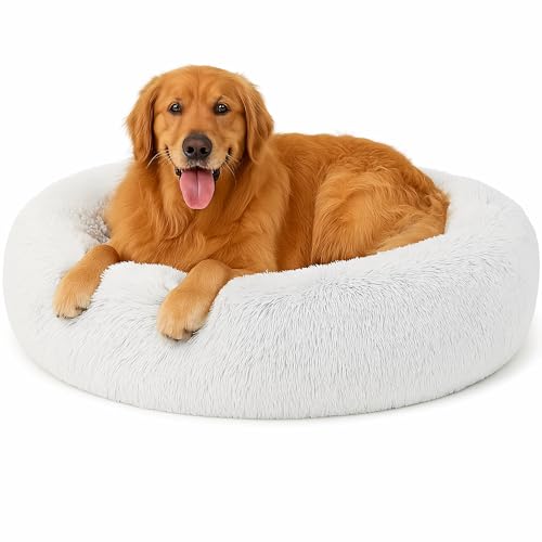 Beruhigendes Donut-Katzenbett, flauschiges, rundes Plüsch-Hundebett, gemütlich, weich, waschbar, Kissen, selbstwärmendes Haustierbett mit rutschfester Unterseite, Anti-Angst, schlafendes Kuschelnest Beruhigendes Donut-Katzenbett, flauschiges, rundes Plüsch-Hundebett, gemütlich, weich, waschbar, Kissen, selbstwärmendes Haustierbett mit rutschfester Unterseite, Anti-Angst, schlafendes Kuschelnest von SEOUGEE