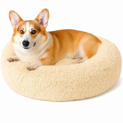 Beruhigendes Donut-Katzenbett, flauschiges, rundes Plüsch-Hundebett, gemütlich, weich, waschbar, Kissen, selbstwärmendes Haustierbett mit rutschfester Unterseite, Anti-Angst, schlafendes Kuschelnest von SEOUGEE