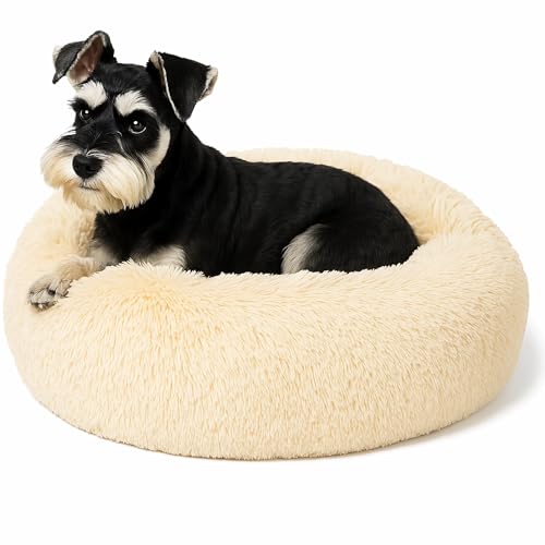 Beruhigendes Donut-Katzenbett, flauschiges, rundes Plüsch-Hundebett, gemütlich, weich, waschbar, Kissen, selbstwärmendes Haustierbett mit rutschfester Unterseite, Anti-Angst, schlafendes Kuschelnest Beruhigendes Donut-Katzenbett, flauschiges, rundes Plüsch-Hundebett, gemütlich, weich, waschbar, Kissen, selbstwärmendes Haustierbett mit rutschfester Unterseite, Anti-Angst, schlafendes Kuschelnest von SEOUGEE