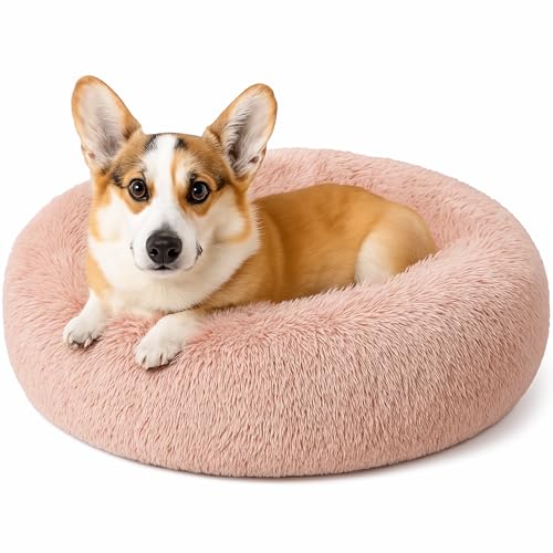 Beruhigendes Donut-Katzenbett, flauschiges, rundes Plüsch-Hundebett, gemütlich, weich, waschbar, Kissen, wärmendes Haustierbett, rutschfeste Unterseite, Anti-Angst-Schlaf-Kuschelnest für kleine und Beruhigendes Donut-Katzenbett, flauschiges, rundes Plüsch-Hundebett, gemütlich, weich, waschbar, Kissen, wärmendes Haustierbett, rutschfeste Unterseite, Anti-Angst-Schlaf-Kuschelnest für kleine und von SEOUGEE