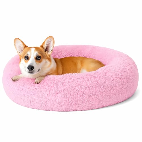 Beruhigendes Donut-Katzenbett, flauschiges, rundes Plüsch-Hundebett, gemütlich, weich, waschbar, Kissen, wärmendes Haustierbett, rutschfeste Unterseite, Anti-Angst-Schlaf-Kuschelnest für kleine Beruhigendes Donut-Katzenbett, flauschiges, rundes Plüsch-Hundebett, gemütlich, weich, waschbar, Kissen, wärmendes Haustierbett, rutschfeste Unterseite, Anti-Angst-Schlaf-Kuschelnest für kleine von SEOUGEE