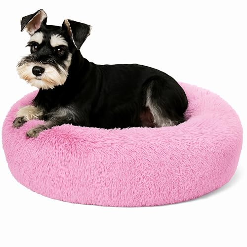 Beruhigendes Donut-Katzenbett, flauschiges, rundes Plüsch-Hundebett, gemütlich, weich, waschbar, Kissen, wärmendes Haustierbett mit rutschfester Unterseite, Anti-Angst, Schlaf-Kuschelnest für kleine Beruhigendes Donut-Katzenbett, flauschiges, rundes Plüsch-Hundebett, gemütlich, weich, waschbar, Kissen, wärmendes Haustierbett mit rutschfester Unterseite, Anti-Angst, Schlaf-Kuschelnest für kleine von SEOUGEE