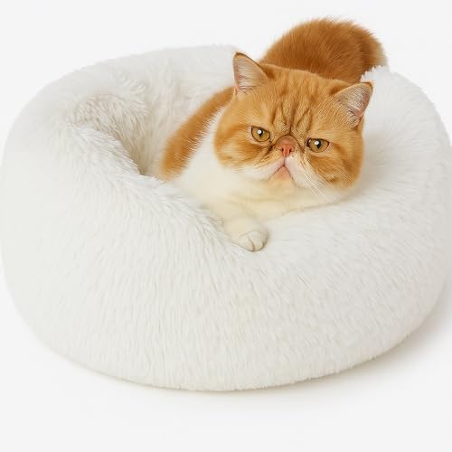 Beruhigendes Donut-Katzenbett, flauschiges, rundes Plüsch-Hundebett, gemütlich, weich, waschbar, Kissen, wärmendes Haustierbett mit rutschfester Unterseite, Anti-Angst, schlafendes Kuschelnest für Beruhigendes Donut-Katzenbett, flauschiges, rundes Plüsch-Hundebett, gemütlich, weich, waschbar, Kissen, wärmendes Haustierbett mit rutschfester Unterseite, Anti-Angst, schlafendes Kuschelnest für von SEOUGEE