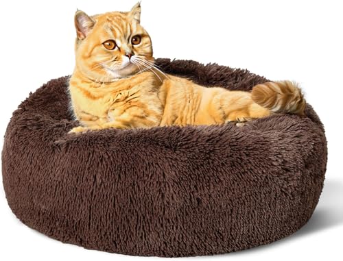 Beruhigendes Donut-Katzenbett, flauschiges, rundes Plüsch-Hundebett, gemütlich, weich, waschbar, Kissen, wärmendes Haustierbett mit rutschfester Unterseite, Anti-Angst, schlafendes Kuschelnest für Beruhigendes Donut-Katzenbett, flauschiges, rundes Plüsch-Hundebett, gemütlich, weich, waschbar, Kissen, wärmendes Haustierbett mit rutschfester Unterseite, Anti-Angst, schlafendes Kuschelnest für von SEOUGEE