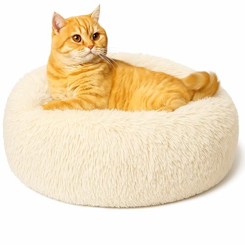 Beruhigendes Donut-Katzenbett, flauschiges, rundes Plüsch-Hundebett, gemütlich, weich, waschbar, Kissen, wärmendes Haustierbett mit rutschfester Unterseite, Anti-Angst, schlafendes Kuschelnest für Beruhigendes Donut-Katzenbett, flauschiges, rundes Plüsch-Hundebett, gemütlich, weich, waschbar, Kissen, wärmendes Haustierbett mit rutschfester Unterseite, Anti-Angst, schlafendes Kuschelnest für von SEOUGEE