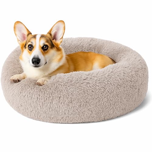 Beruhigendes Donut-Katzenbett, flauschiges, rundes Plüsch-Hundebett, gemütlich, weich, waschbar, Kissen, wärmendes Haustierbett mit rutschfester Unterseite, Anti-Angst, schlafendes Kuschelnest für Beruhigendes Donut-Katzenbett, flauschiges, rundes Plüsch-Hundebett, gemütlich, weich, waschbar, Kissen, wärmendes Haustierbett mit rutschfester Unterseite, Anti-Angst, schlafendes Kuschelnest für von SEOUGEE