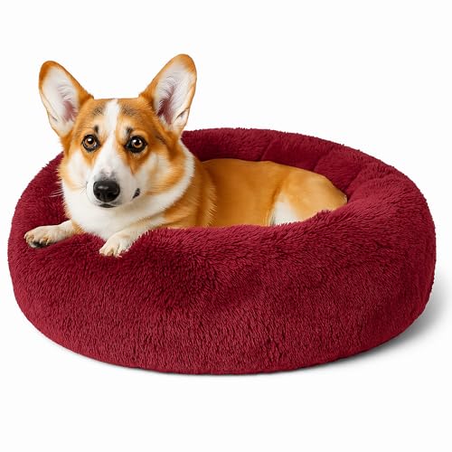 Beruhigendes Donut-Katzenbett, flauschiges, rundes Plüsch-Hundebett, gemütlich, weich, waschbar, Kissen, wärmendes Haustierbett mit rutschfester Unterseite, Anti-Angst, schlafendes Kuschelnest für Beruhigendes Donut-Katzenbett, flauschiges, rundes Plüsch-Hundebett, gemütlich, weich, waschbar, Kissen, wärmendes Haustierbett mit rutschfester Unterseite, Anti-Angst, schlafendes Kuschelnest für von SEOUGEE