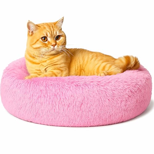 Beruhigendes Donut-Katzenbett, flauschiges, rundes Plüsch-Hundebett, gemütlich, weich, waschbar, Kissen, wärmendes Haustierbett mit rutschfester Unterseite, Anti-Angst, schlafendes Kuschelnest für Beruhigendes Donut-Katzenbett, flauschiges, rundes Plüsch-Hundebett, gemütlich, weich, waschbar, Kissen, wärmendes Haustierbett mit rutschfester Unterseite, Anti-Angst, schlafendes Kuschelnest für von SEOUGEE