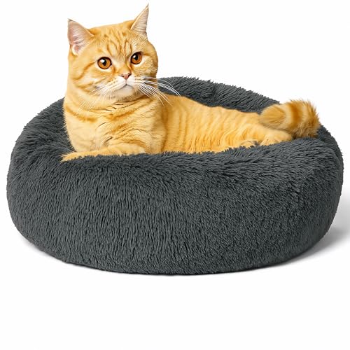 Beruhigendes Donut-Katzenbett, flauschiges, rundes Plüsch-Hundebett, gemütlich, weich, waschbar, Kissen, wärmendes Haustierbett mit rutschfester Unterseite, Anti-Angst, schlafendes Kuschelnest für Beruhigendes Donut-Katzenbett, flauschiges, rundes Plüsch-Hundebett, gemütlich, weich, waschbar, Kissen, wärmendes Haustierbett mit rutschfester Unterseite, Anti-Angst, schlafendes Kuschelnest für von SEOUGEE