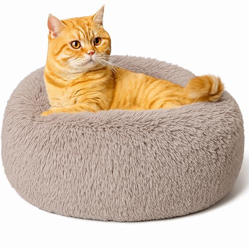 Beruhigendes Donut-Katzenbett, flauschiges, rundes Plüsch-Hundebett, gemütlich, weich, waschbar, Kissen, wärmendes Haustierbett mit rutschfester Unterseite, Anti-Angst-Schlaf, Kuschelnest für Katzen Beruhigendes Donut-Katzenbett, flauschiges, rundes Plüsch-Hundebett, gemütlich, weich, waschbar, Kissen, wärmendes Haustierbett mit rutschfester Unterseite, Anti-Angst-Schlaf, Kuschelnest für Katzen von SEOUGEE