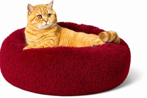 Beruhigendes Donut-Katzenbett, flauschiges, rundes Plüsch-Hundebett, gemütlich, weich, waschbar, Kissen, wärmendes Haustierbett mit rutschfester Unterseite, Anti-Angst-Schlaf, Kuschelnest für Katzen Beruhigendes Donut-Katzenbett, flauschiges, rundes Plüsch-Hundebett, gemütlich, weich, waschbar, Kissen, wärmendes Haustierbett mit rutschfester Unterseite, Anti-Angst-Schlaf, Kuschelnest für Katzen von SEOUGEE