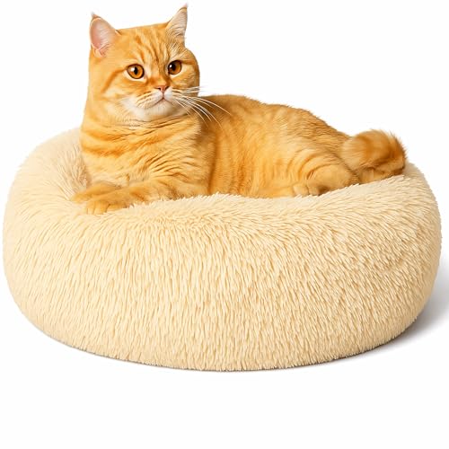 Beruhigendes Donut-Katzenbett, flauschiges, rundes Plüsch-Hundebett, gemütlich, weich, waschbar, Kissen, wärmendes Haustierbett mit rutschfester Unterseite, Anti-Angst-Schlaf-Kuschelnest für Katzen Beruhigendes Donut-Katzenbett, flauschiges, rundes Plüsch-Hundebett, gemütlich, weich, waschbar, Kissen, wärmendes Haustierbett mit rutschfester Unterseite, Anti-Angst-Schlaf-Kuschelnest für Katzen von SEOUGEE