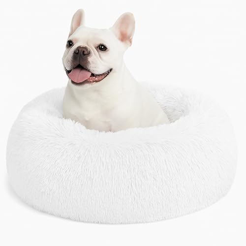 Beruhigendes Donut-Katzenbett, flauschiges, rundes Plüsch-Hundebett, gemütlich, weich, waschbar, selbstwärmendes Haustierbett mit rutschfester Unterseite, Anti-Angst, Schlaf-Kuschelnest für kleine und Beruhigendes Donut-Katzenbett, flauschiges, rundes Plüsch-Hundebett, gemütlich, weich, waschbar, selbstwärmendes Haustierbett mit rutschfester Unterseite, Anti-Angst, Schlaf-Kuschelnest für kleine und von SEOUGEE