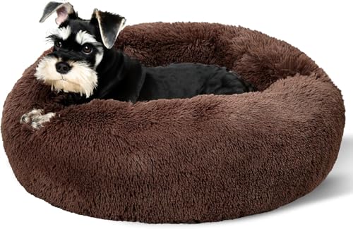 Beruhigendes Donut-Katzenbett, flauschiges, rundes Plüsch-Hundebett, gemütlich, weich, waschbar, selbstwärmendes Haustierbett mit rutschfester Unterseite, Anti-Angst, Schlaf-Kuschelnest für kleine und Beruhigendes Donut-Katzenbett, flauschiges, rundes Plüsch-Hundebett, gemütlich, weich, waschbar, selbstwärmendes Haustierbett mit rutschfester Unterseite, Anti-Angst, Schlaf-Kuschelnest für kleine und von SEOUGEE