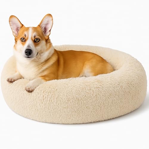 Beruhigendes Donut-Katzenbett, flauschiges, rundes Plüsch-Hundebett, gemütlich, weich, waschbar, selbstwärmendes Haustierbett mit rutschfester Unterseite, Anti-Angst, Schlaf-Kuschelnest für Beruhigendes Donut-Katzenbett, flauschiges, rundes Plüsch-Hundebett, gemütlich, weich, waschbar, selbstwärmendes Haustierbett mit rutschfester Unterseite, Anti-Angst, Schlaf-Kuschelnest für von SEOUGEE