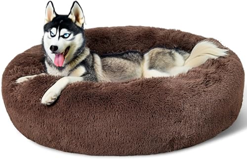 Beruhigendes Donut-Katzenbett, flauschiges, rundes Plüsch-Hundebett, gemütlich, weich, waschbar, selbstwärmendes Haustierbett mit rutschfester Unterseite, Anti-Angst, schlafendes Kuschelnest für Beruhigendes Donut-Katzenbett, flauschiges, rundes Plüsch-Hundebett, gemütlich, weich, waschbar, selbstwärmendes Haustierbett mit rutschfester Unterseite, Anti-Angst, schlafendes Kuschelnest für von SEOUGEE