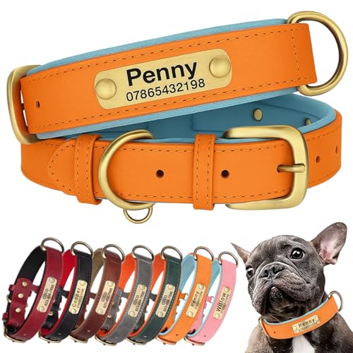 SEOUGEE Hundehalsband aus echtem Leder, personalisierbar, weich gepolstert, strapazierfähig, mit individuell graviertem Namensschild, verstellbar für kleine, mittelgroße und große Hunde (XL, Orange SEOUGEE Hundehalsband aus echtem Leder, personalisierbar, weich gepolstert, strapazierfähig, mit individuell graviertem Namensschild, verstellbar für kleine, mittelgroße und große Hunde (XL, Orange von SEOUGEE