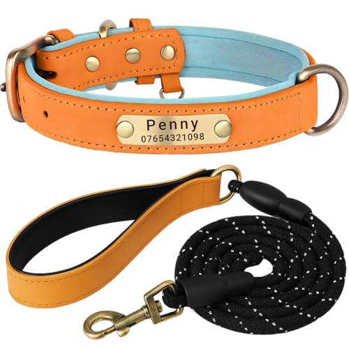 SEOUGEE Hundehalsband aus echtem Leder, personalisierbar und Leine, weich gepolstert, strapazierfähig, mit individuellem Namensschild für kleine, mittelgroße und große Hunde (L, orangefarbenes Set, 35 SEOUGEE Hundehalsband aus echtem Leder, personalisierbar und Leine, weich gepolstert, strapazierfähig, mit individuellem Namensschild für kleine, mittelgroße und große Hunde (L, orangefarbenes Set, 35 von SEOUGEE