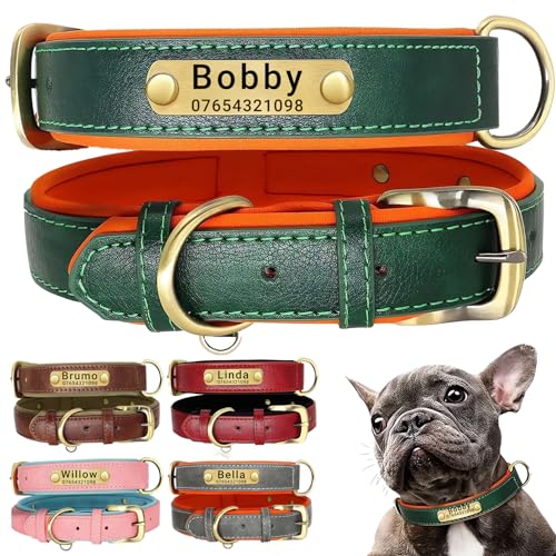 SEOUGEE Hundehalsband aus echtem Leder, personalisierbar und mit Leine, weich gepolstert, strapazierfähig, mit individuellem Namensschild für kleine, mittelgroße und große Hunde (M, Rosa 28–37 cm) von SEOUGEE