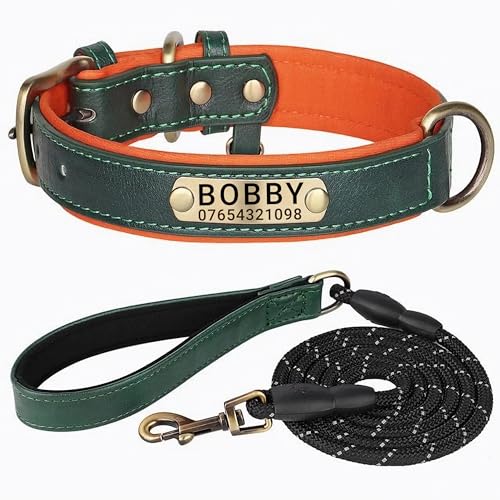 SEOUGEE Hundehalsband aus echtem Leder, personalisierbar und Leine, weich gepolstert, strapazierfähig, mit individuellem Namensschild für kleine, mittelgroße und große Hunde (XL, grünes Set, 42–55 cm) SEOUGEE Hundehalsband aus echtem Leder, personalisierbar und Leine, weich gepolstert, strapazierfähig, mit individuellem Namensschild für kleine, mittelgroße und große Hunde (XL, grünes Set, 42–55 cm) von SEOUGEE