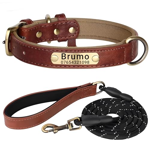 SEOUGEE Hundehalsband aus echtem Leder, personalisierbar und mit Leine, weich gepolstert, strapazierfähig, mit individuellem Namensschild für kleine, mittelgroße und große Hunde (XS, Braun-Set 18–27 von SEOUGEE