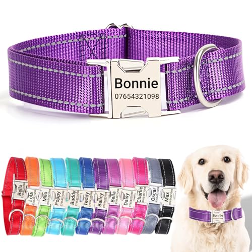 SEOUGEE Hundehalsband mit gravierter Metallschnalle, reflektierendes Nylon-Halsband für kleine, mittelgroße und große Hunde mit individuellem Namensschild, Telefonnummer (Dunkelviolett, M: Halsumfang SEOUGEE Hundehalsband mit gravierter Metallschnalle, reflektierendes Nylon-Halsband für kleine, mittelgroße und große Hunde mit individuellem Namensschild, Telefonnummer (Dunkelviolett, M: Halsumfang von SEOUGEE