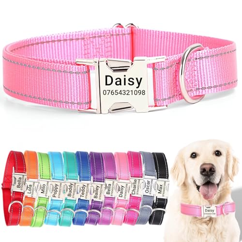 SEOUGEE Hundehalsband mit gravierter Metallschnalle, reflektierendes Nylon-Halsband für kleine, mittelgroße und große Hunde mit individuellem Namensschild, Telefonnummer (Rosa, M: Halsumfang 35–50 cm, SEOUGEE Hundehalsband mit gravierter Metallschnalle, reflektierendes Nylon-Halsband für kleine, mittelgroße und große Hunde mit individuellem Namensschild, Telefonnummer (Rosa, M: Halsumfang 35–50 cm, von SEOUGEE