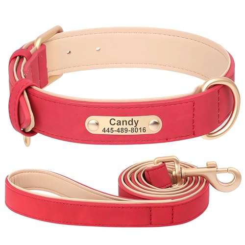 SEOUGEE Hundehalsband und Leine, Leder, personalisierbar, weich gepolstert, strapazierfähig, mit individuellem Namensschild, verstellbar für kleine, mittelgroße und große Hunde (XL, Purpurrot, Set SEOUGEE Hundehalsband und Leine, Leder, personalisierbar, weich gepolstert, strapazierfähig, mit individuellem Namensschild, verstellbar für kleine, mittelgroße und große Hunde (XL, Purpurrot, Set von SEOUGEE