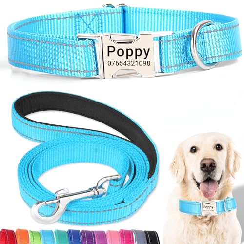 SEOUGEE Hundehalsband und Leine, Set mit gravierter Metallschnalle, reflektierenden Nylon-Hundehalsbändern und Leine für kleine Hunde mit individuellem Namensschild, Telefonnummer (Himmelblau, XS: SEOUGEE Hundehalsband und Leine, Set mit gravierter Metallschnalle, reflektierenden Nylon-Hundehalsbändern und Leine für kleine Hunde mit individuellem Namensschild, Telefonnummer (Himmelblau, XS: von SEOUGEE