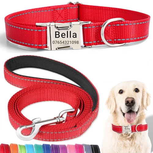 SEOUGEE Hundehalsband und Leine, Set mit gravierter Metallschnalle, reflektierenden Nylon-Hundehalsbändern und Leine für kleine Hunde mit individuellem Namensschild, Telefonnummer (rotes Set, S: SEOUGEE Hundehalsband und Leine, Set mit gravierter Metallschnalle, reflektierenden Nylon-Hundehalsbändern und Leine für kleine Hunde mit individuellem Namensschild, Telefonnummer (rotes Set, S: von SEOUGEE