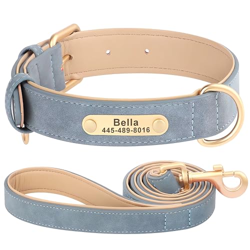 SEOUGEE Hundehalsband und Leine, personalisierbar, aus Leder, weich gepolstert, strapazierfähig, mit personalisierbarem Namensschild, verstellbar für kleine, mittelgroße und große Hunde (L, SEOUGEE Hundehalsband und Leine, personalisierbar, aus Leder, weich gepolstert, strapazierfähig, mit personalisierbarem Namensschild, verstellbar für kleine, mittelgroße und große Hunde (L, von SEOUGEE
