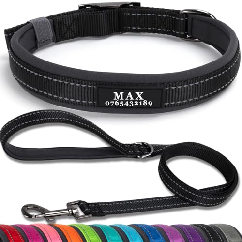 SEOUGEE Hundehalsband und Leine, personalisierbar, strapazierfähige Metallschnalle, ultrabreites, weiches Neopren, gepolstert, verstellbares, reflektierendes Hundehalsband für kleine, mittelgroße SEOUGEE Hundehalsband und Leine, personalisierbar, strapazierfähige Metallschnalle, ultrabreites, weiches Neopren, gepolstert, verstellbares, reflektierendes Hundehalsband für kleine, mittelgroße von SEOUGEE