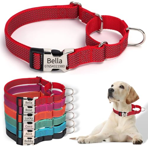 SEOUGEE Martingale Hundehalsband, personalisierbar, reflektierendes Nylon, ausbruchsicher, Anti-Zieh-Hundehalsbänder mit individuell gravierter Metallschnalle, Spaziergangstraining, täglicher Gebrauch SEOUGEE Martingale Hundehalsband, personalisierbar, reflektierendes Nylon, ausbruchsicher, Anti-Zieh-Hundehalsbänder mit individuell gravierter Metallschnalle, Spaziergangstraining, täglicher Gebrauch von SEOUGEE