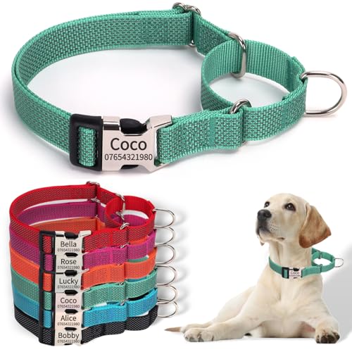 SEOUGEE Martingale Hundehalsband, personalisierbar, reflektierendes Nylon, ausbruchsicher, Anti-Zieh-Hundehalsbänder mit individuell gravierter Metallschnalle, Spaziergangstraining, täglicher Gebrauch SEOUGEE Martingale Hundehalsband, personalisierbar, reflektierendes Nylon, ausbruchsicher, Anti-Zieh-Hundehalsbänder mit individuell gravierter Metallschnalle, Spaziergangstraining, täglicher Gebrauch von SEOUGEE