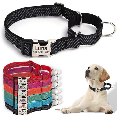 SEOUGEE Martingale Hundehalsband, personalisierbar, reflektierendes Nylon, ausbruchsicher, Anti-Zieh-Hundehalsbänder mit individuell gravierter Metallschnalle, Spaziergangstraining, täglicher Gebrauch SEOUGEE Martingale Hundehalsband, personalisierbar, reflektierendes Nylon, ausbruchsicher, Anti-Zieh-Hundehalsbänder mit individuell gravierter Metallschnalle, Spaziergangstraining, täglicher Gebrauch von SEOUGEE