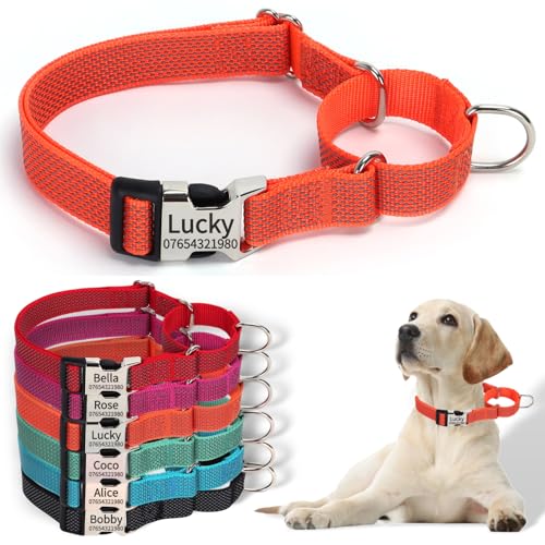SEOUGEE Martingale Hundehalsband, personalisierbar, reflektierendes Nylon, ausbruchsicher, Anti-Ziehen, mit individuell gravierter Metallschnalle, Spaziergangstraining, täglicher Gebrauch für kleine SEOUGEE Martingale Hundehalsband, personalisierbar, reflektierendes Nylon, ausbruchsicher, Anti-Ziehen, mit individuell gravierter Metallschnalle, Spaziergangstraining, täglicher Gebrauch für kleine von SEOUGEE