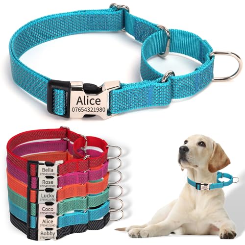 SEOUGEE Martingale Hundehalsband, personalisierbar, reflektierendes Nylon, ausbruchsicher, Anti-Ziehen, mit individuell gravierter Metallschnalle, Spaziergangstraining, täglicher Gebrauch für kleine SEOUGEE Martingale Hundehalsband, personalisierbar, reflektierendes Nylon, ausbruchsicher, Anti-Ziehen, mit individuell gravierter Metallschnalle, Spaziergangstraining, täglicher Gebrauch für kleine von SEOUGEE