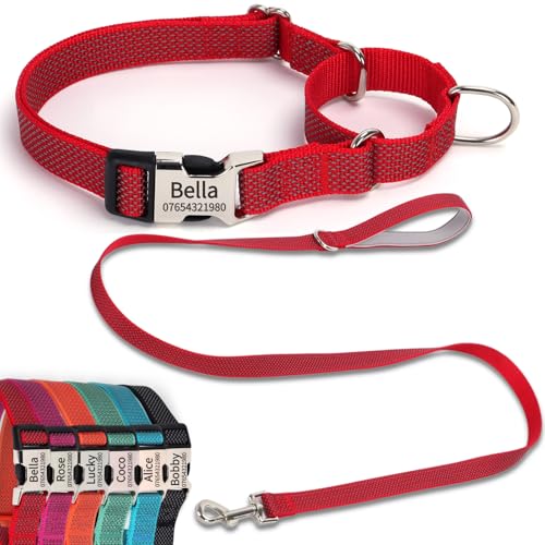 SEOUGEE Martingale Hundehalsband, personalisierbar und Leine, reflektierendes Nylon, Anti-Würge-Hundehalsbänder und Leine mit individuell gravierter Schnalle, Spaziergangstraining für kleine Hunde (M, SEOUGEE Martingale Hundehalsband, personalisierbar und Leine, reflektierendes Nylon, Anti-Würge-Hundehalsbänder und Leine mit individuell gravierter Schnalle, Spaziergangstraining für kleine Hunde (M, von SEOUGEE
