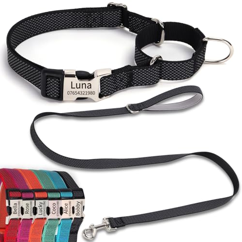 SEOUGEE Martingale Hundehalsband, personalisierbar und Leine, reflektierendes Nylon, Anti-Würge-Hundehalsbänder und Leine mit individuell gravierter Schnalle, Spaziergangstraining für kleine Hunde (S, SEOUGEE Martingale Hundehalsband, personalisierbar und Leine, reflektierendes Nylon, Anti-Würge-Hundehalsbänder und Leine mit individuell gravierter Schnalle, Spaziergangstraining für kleine Hunde (S, von SEOUGEE
