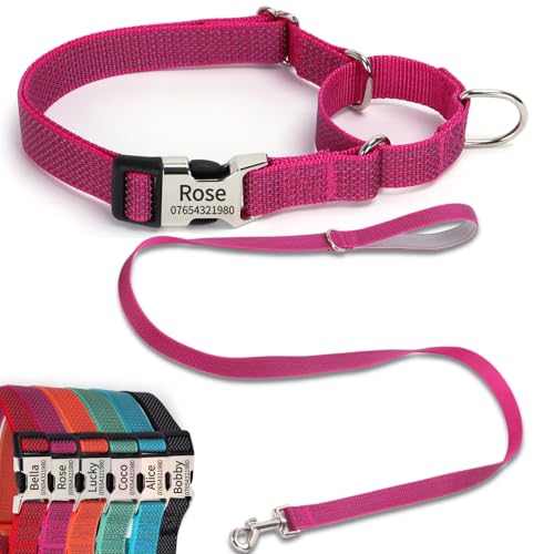 SEOUGEE Martingale Hundehalsband, personalisierbar und Leine, reflektierendes Nylon, Anti-Würge-Hundehalsbänder und Leine mit individuell gravierter Schnalle, Spaziergangstraining für mittelgroße SEOUGEE Martingale Hundehalsband, personalisierbar und Leine, reflektierendes Nylon, Anti-Würge-Hundehalsbänder und Leine mit individuell gravierter Schnalle, Spaziergangstraining für mittelgroße von SEOUGEE