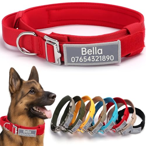 SEOUGEE Taktisches Hundehalsband, personalisierbar mit Griff, weich gepolsterte Hundehalsbänder mit benutzerdefiniertem reflektierendem Namensaufnäher, verstellbare Halsbänder mit tragbarer Schnalle SEOUGEE Taktisches Hundehalsband, personalisierbar mit Griff, weich gepolsterte Hundehalsbänder mit benutzerdefiniertem reflektierendem Namensaufnäher, verstellbare Halsbänder mit tragbarer Schnalle von SEOUGEE