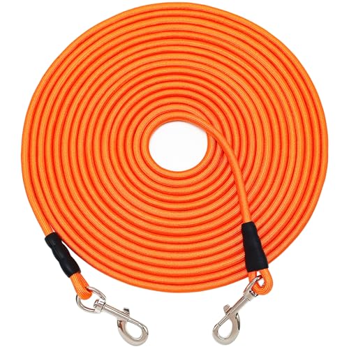 SEPXUFORE Hundeleine, strapazierfähig, Nylon, kariert, für mittelgroße und große Hunde, für drinnen und draußen, zum Spielen, Camping, Hinterhof, Orange, 1,9 cm x 4,5 m SEPXUFORE Hundeleine, strapazierfähig, Nylon, kariert, für mittelgroße und große Hunde, für drinnen und draußen, zum Spielen, Camping, Hinterhof, Orange, 1,9 cm x 4,5 m von SEPXUFORE