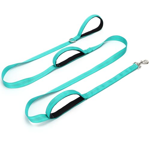 SEPXUFORE Hundeleine mit 3 Griffen, starkes Nylon, reflektierend, 3 Griffe, Leine für mittelgroße und große Hunde, Sicherheitstraining (Türkis) von SEPXUFORE